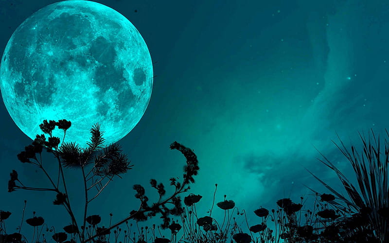 Embrace, release then welcome - Super Moon in Pisces